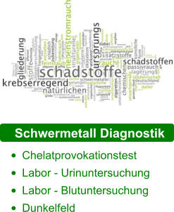 Schwermetall Diagnostik •	Chelatprovokationstest •	Labor - Urinuntersuchung •	Labor - Blutuntersuchung •	Dunkelfeld