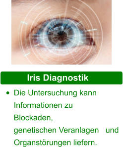 Schwermetall Diagnostik •	Die Untersuchung kann Informationen zu              Blockaden, genetischen Veranlagen   und Organstörungen liefern.  Iris Diagnostik