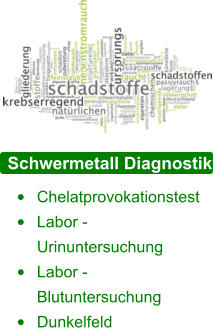 Schwermetall Diagnostik •	Chelatprovokationstest •	Labor - Urinuntersuchung •	Labor - Blutuntersuchung •	Dunkelfeld