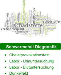 Schwermetall Diagnostik •	Chelatprovokationstest •	Labor - Urinuntersuchung •	Labor - Blutuntersuchung •	Dunkelfeld