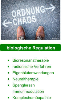 biologische Regulation  •	Bioresonanztherapie •	radionische Verfahren •	Eigenblutanwendungen •	Neuraltherapie •	Spenglersan Immunmodulation •	Komplexhomöopathie