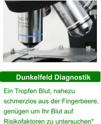 Dunkelfeld Diagnostik Ein Tropfen Blut, nahezu schmerzlos aus der Fingerbeere, genügen um Ihr Blut auf Risikofaktoren zu untersuchen*